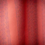 25 10 collection artes 130